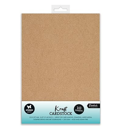SL Paper set Consumables Kraft Cardstock 250 gsm nr.42