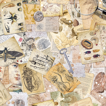 RICE PAPER A5 MIXED 8/PKG CABINET OF CURIOSITIES
