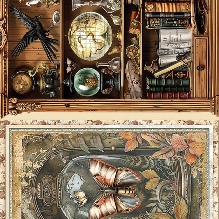 RICE PAPER A5 MIXED 8/PKG CABINET OF CURIOSITIES