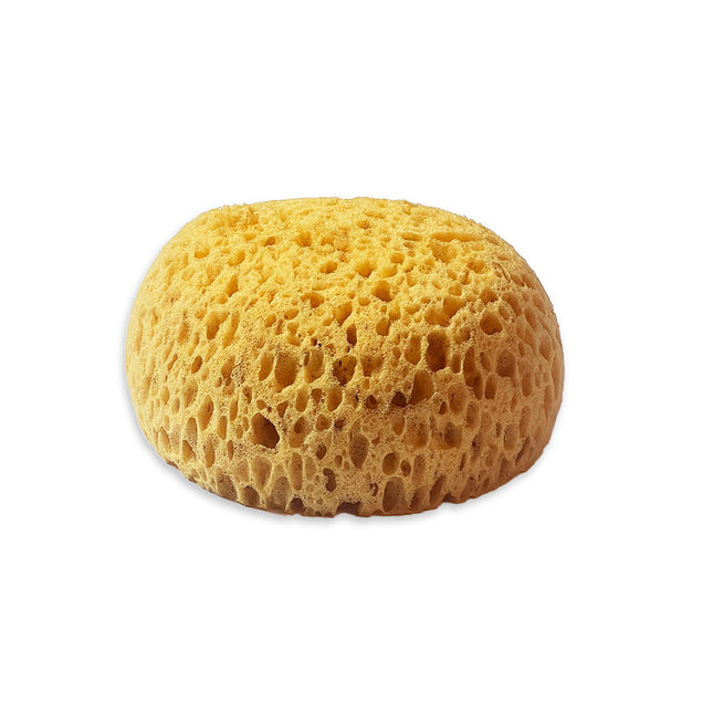 Sponge paint