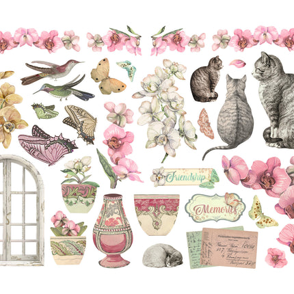 Ephemera  - Orchids and Cats