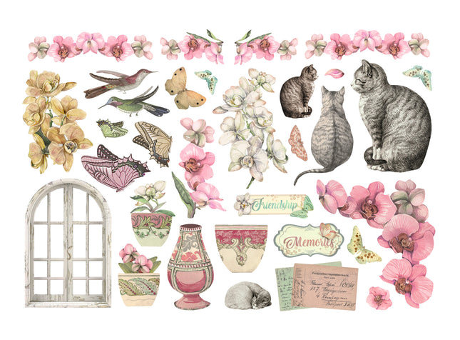 Ephemera  - Orchids and Cats