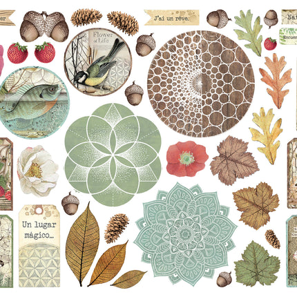 Die cuts assorted - Forest