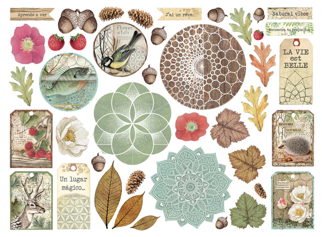 Die cuts assorted - Forest