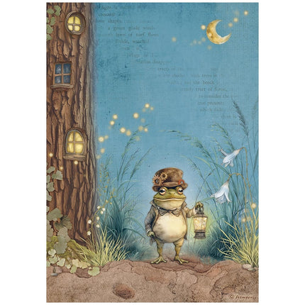 A4 Rice paper packed - Hidden Grove Mr Frog