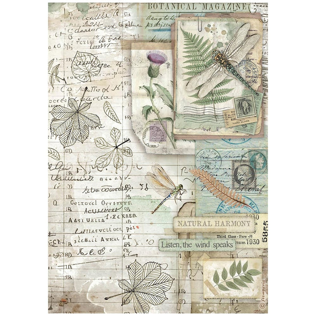 A4 Rice paper packed - Herbarium Silvae botanic