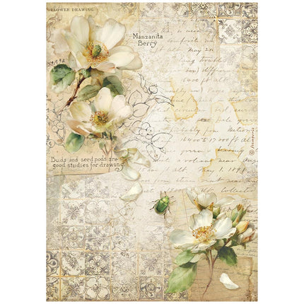 Printed A4 Rice paper for Art and Craft - All Around Camellia