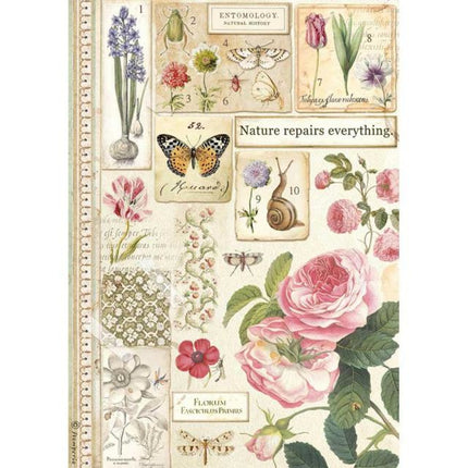 A4 Rice paper packed - Botanic