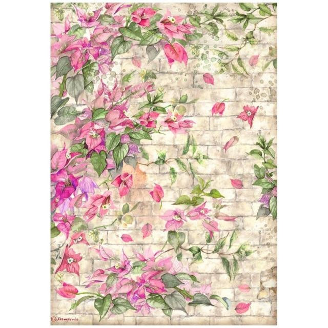A4 Rice paper packed - Blue Dream bougainvillea