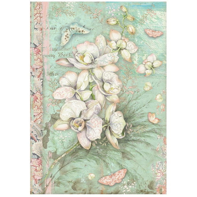 A4 Rice paper packed - Orchids and Cats white orchid