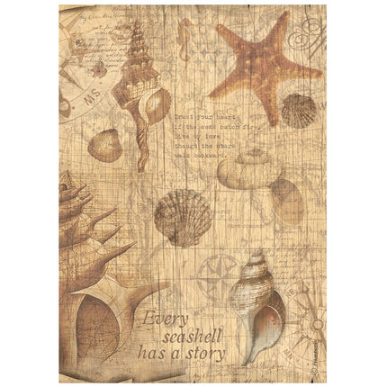 A4 Rice paper packed - Sea Land shells
