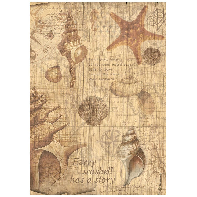 A4 Rice paper packed - Sea Land shells