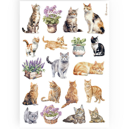 A4 Rice paper packed - cats