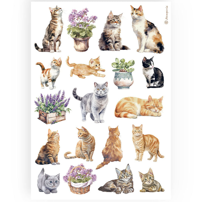 A4 Rice paper packed - cats