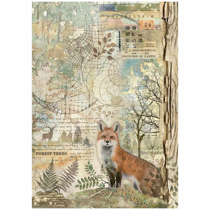 A4 Rice paper packed - Forest fox