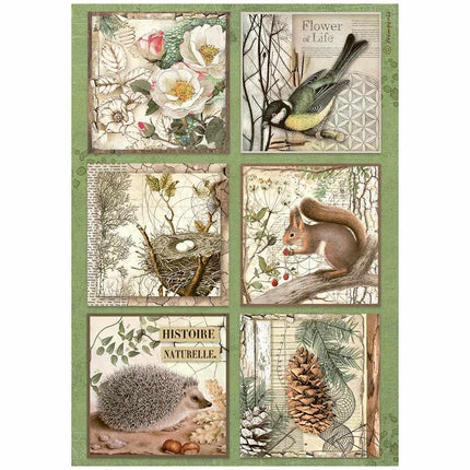 A4 Rice paper packed - Forest 6 cards