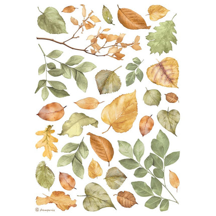 A4 Rice paper packed - Leaves
