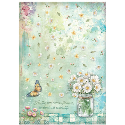 Selection 6 Rice paper A4 - Daisy Art