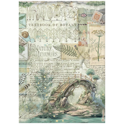 Selection 6 Rice paper A4 - Herbarium Silvae