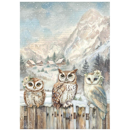Selection 6 Rice paper A4 - The Owl's House