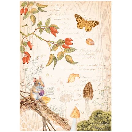 Selection 6 Rice paper A4 - Woodland