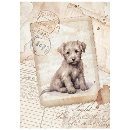 Mini Rice paper A6 8 sheets  Quiet Days