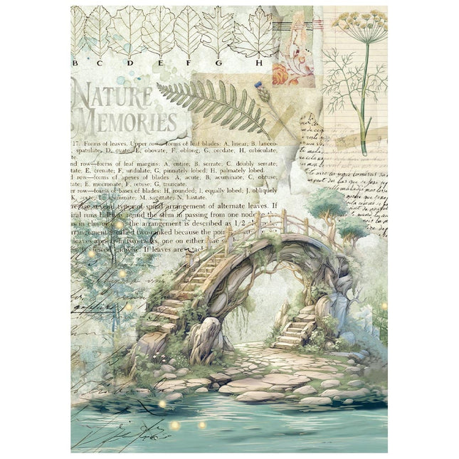 Mini Rice paper A6 8 sheets  Herbarium Silvae
