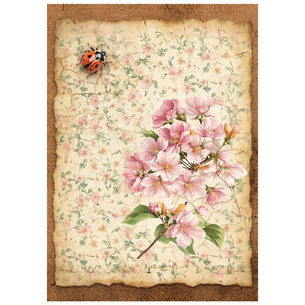 Printed Mini Rice paper A6 8 sheets for Art and Craft - All Around