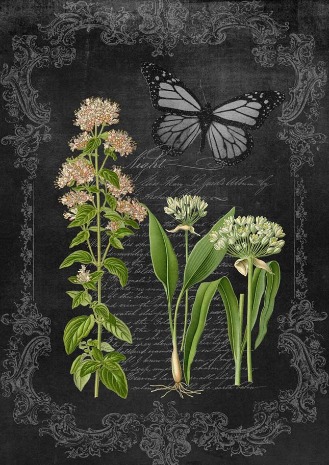 Oregano and Garlic Chalkboard A4