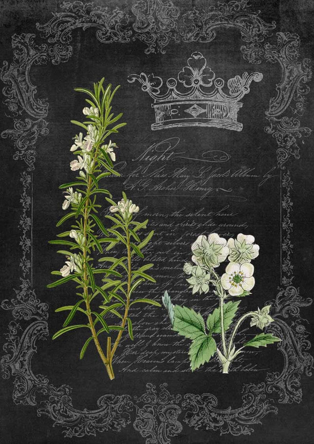 Rosemary and Wildflower Chalkboard A4