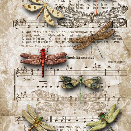 Dragonflies on SheetMusic A3