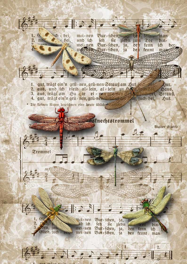 Dragonflies on SheetMusic A3