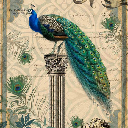 Peacock on a Pedestal A3