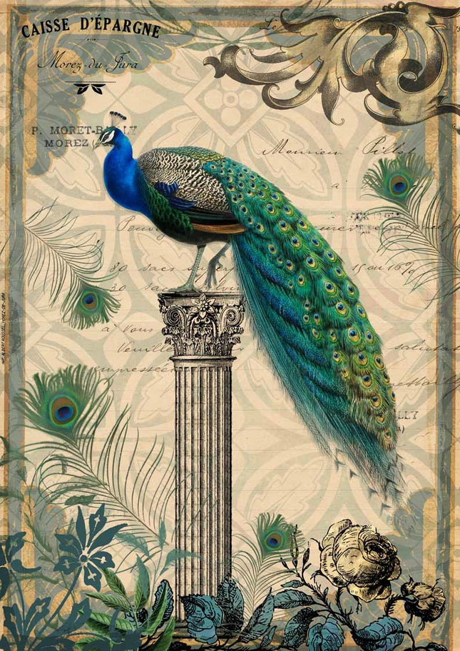 Peacock on a Pedestal A4