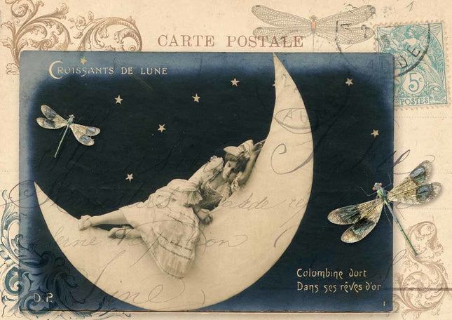 Lady on the Moon A4