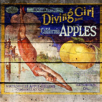 Diving Girl Antique Crate A4