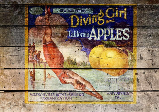 Diving Girl Antique Crate A4