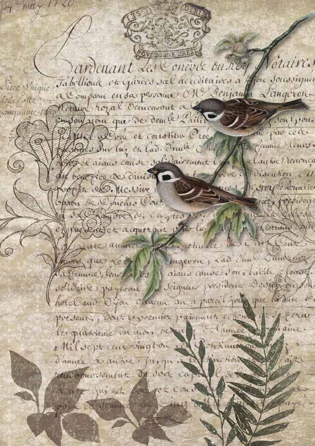 Birds on a Branch A3