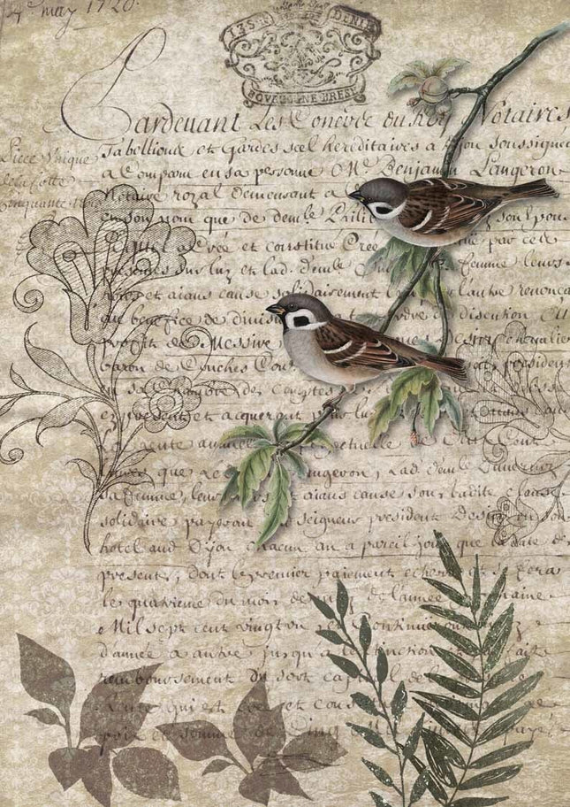 Birds on a Branch A4
