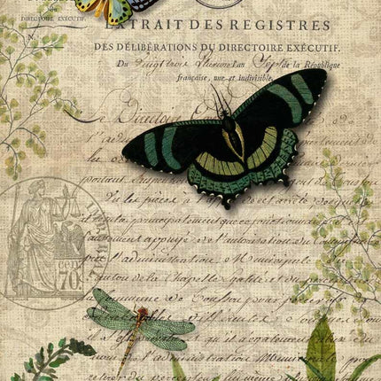 Butterfly Botanical A3