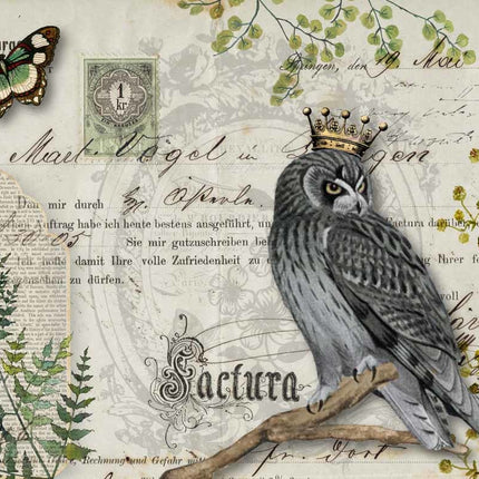 Owl Botanicals A3