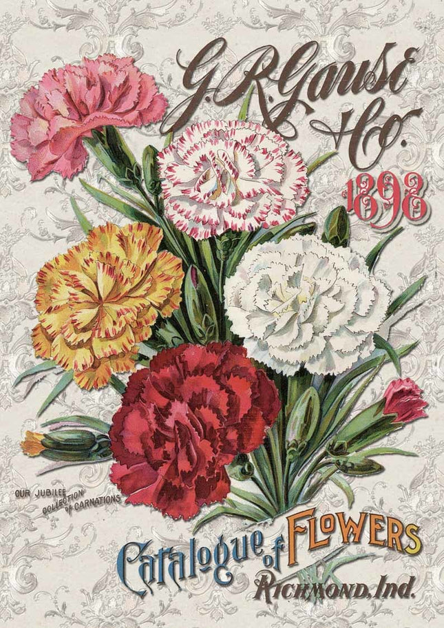 Carnation Catalog A3