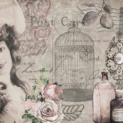 Anna's Postcard