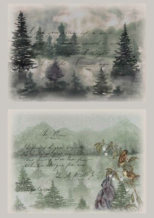 Dainty and the Queen Letters from Home