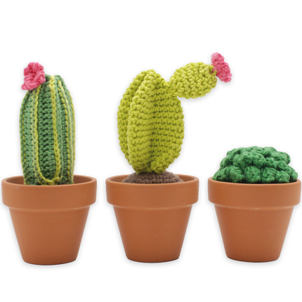 Haakpakket Cactussen - Amigurumi DIY Kit