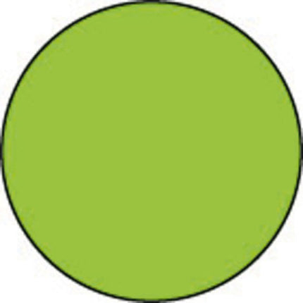 Allegro paint 59 ml.light green