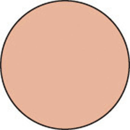 Allegro paint 59 ml. powder blush