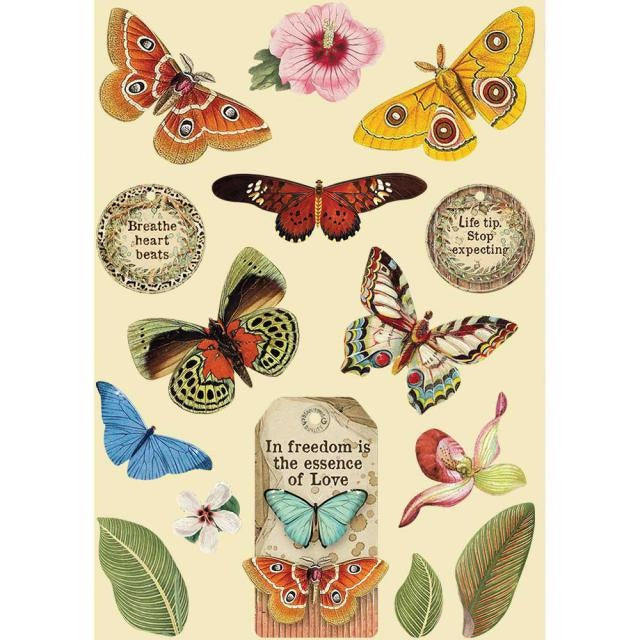 Colored Wooden frame A5 - Amazonia butterfly