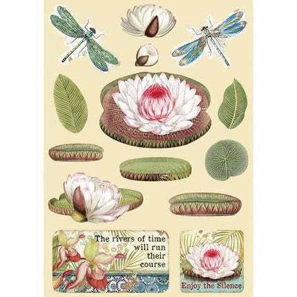 Colored Wooden frame A5 - Amazonia water lily