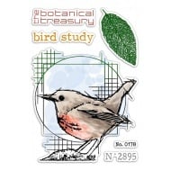 Clear Stamp Set 4"x6" Bird Study